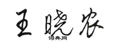 駱恆光王曉農行書個性簽名怎么寫