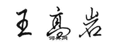 駱恆光王高岩行書個性簽名怎么寫