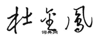 駱恆光杜金鳳草書個性簽名怎么寫