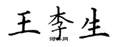 丁謙王李生楷書個性簽名怎么寫