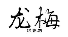 曾慶福龍梅行書個性簽名怎么寫