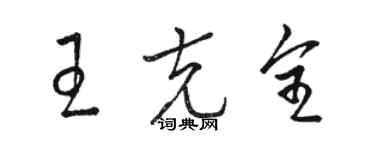 駱恆光王克全草書個性簽名怎么寫