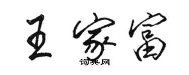 駱恆光王家富行書個性簽名怎么寫