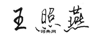 駱恆光王照燕行書個性簽名怎么寫