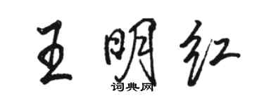 駱恆光王明紅行書個性簽名怎么寫