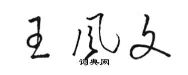 駱恆光王風文草書個性簽名怎么寫