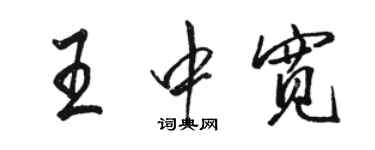 駱恆光王中寬行書個性簽名怎么寫