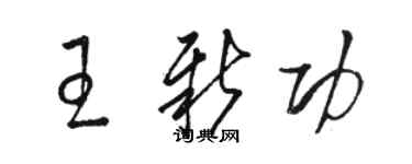 駱恆光王新功草書個性簽名怎么寫