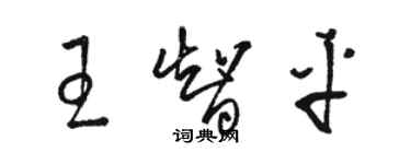 駱恆光王智平草書個性簽名怎么寫