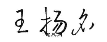 駱恆光王揚名草書個性簽名怎么寫