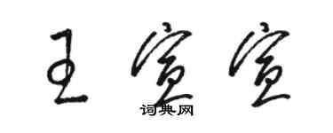 駱恆光王宣宣草書個性簽名怎么寫