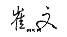 駱恆光崔文行書個性簽名怎么寫