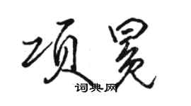 駱恆光項冕行書個性簽名怎么寫