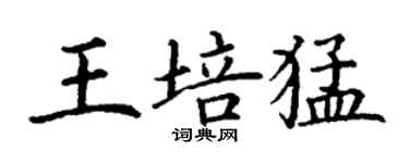 丁謙王培猛楷書個性簽名怎么寫
