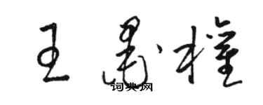 駱恆光王墨權草書個性簽名怎么寫