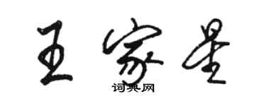 駱恆光王家星行書個性簽名怎么寫