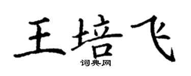 丁謙王培飛楷書個性簽名怎么寫