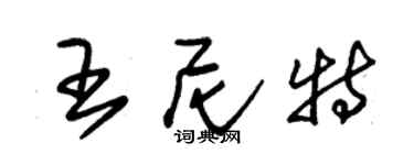 朱錫榮王尼特草書個性簽名怎么寫