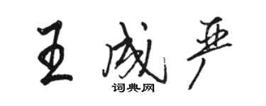 駱恆光王成嚴行書個性簽名怎么寫