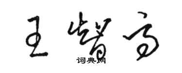 駱恆光王智高草書個性簽名怎么寫