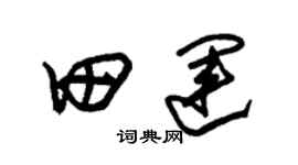 朱錫榮田運草書個性簽名怎么寫