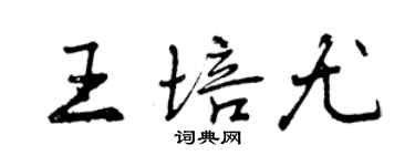 曾慶福王培尤行書個性簽名怎么寫