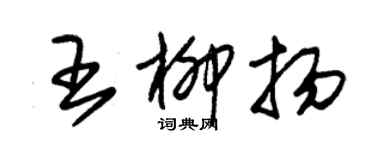 朱錫榮王柳揚草書個性簽名怎么寫