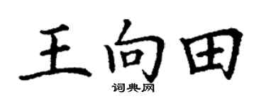 丁謙王向田楷書個性簽名怎么寫