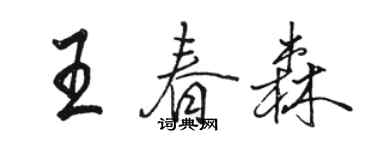 駱恆光王春森行書個性簽名怎么寫