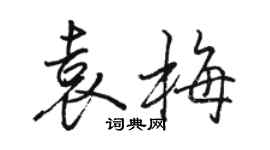 駱恆光袁梅行書個性簽名怎么寫