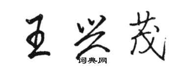 駱恆光王興茂行書個性簽名怎么寫