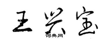 曾慶福王興寶行書個性簽名怎么寫