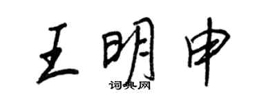 王正良王明申行書個性簽名怎么寫