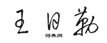 駱恆光王日勒草書個性簽名怎么寫