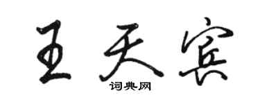 駱恆光王天賓行書個性簽名怎么寫