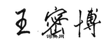 駱恆光王密博行書個性簽名怎么寫