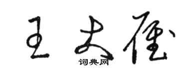 駱恆光王大雁草書個性簽名怎么寫