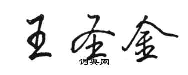 駱恆光王聖金行書個性簽名怎么寫