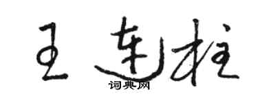 駱恆光王連柱草書個性簽名怎么寫