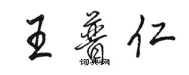 駱恆光王普仁行書個性簽名怎么寫