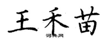 丁謙王禾苗楷書個性簽名怎么寫