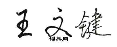 駱恆光王文鍵行書個性簽名怎么寫