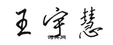 駱恆光王宇慧行書個性簽名怎么寫