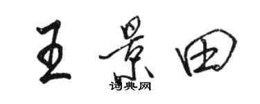 駱恆光王景田行書個性簽名怎么寫