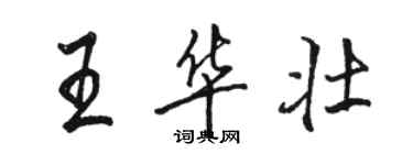 駱恆光王華壯行書個性簽名怎么寫