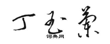 駱恆光丁玉蘭草書個性簽名怎么寫