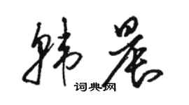 駱恆光韓晨草書個性簽名怎么寫