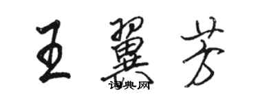 駱恆光王翼芳行書個性簽名怎么寫