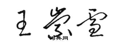 駱恆光王崇雪草書個性簽名怎么寫