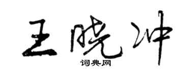 曾慶福王曉沖行書個性簽名怎么寫